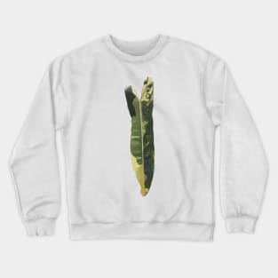 Rare and Expensive Variegated Philodendron Billietiae Design Crewneck Sweatshirt